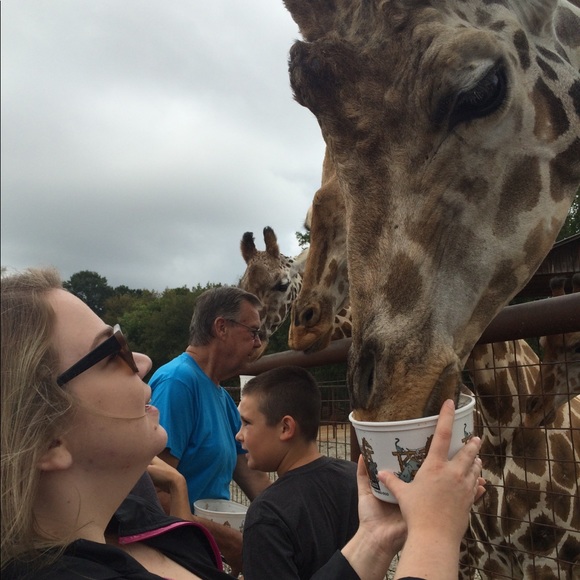 โค๏ธ Please read when purchasing! - Picture 4 of 11